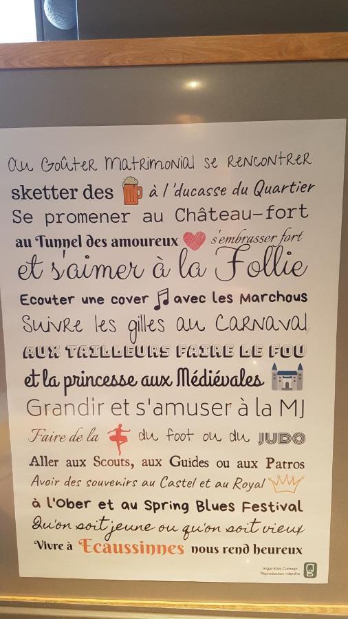 Écaussinnes-dʼEnghien Le Triboureau B&B 외부 사진